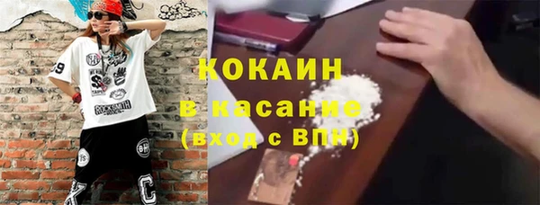 шишки Краснотурьинск