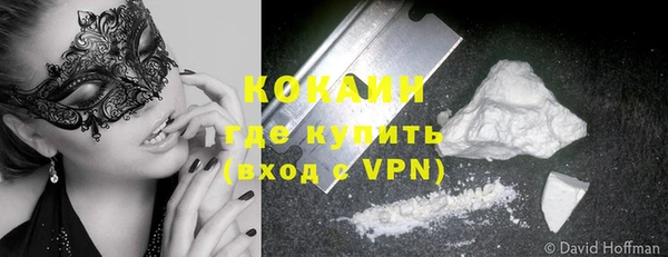 шишки Краснотурьинск